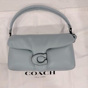 Coach pillow tabby 26